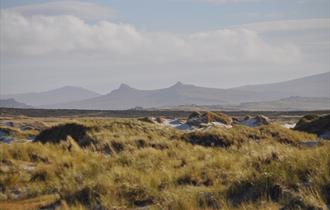 Falklands Ultra