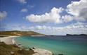 _NewIsland_ _NewIsland_