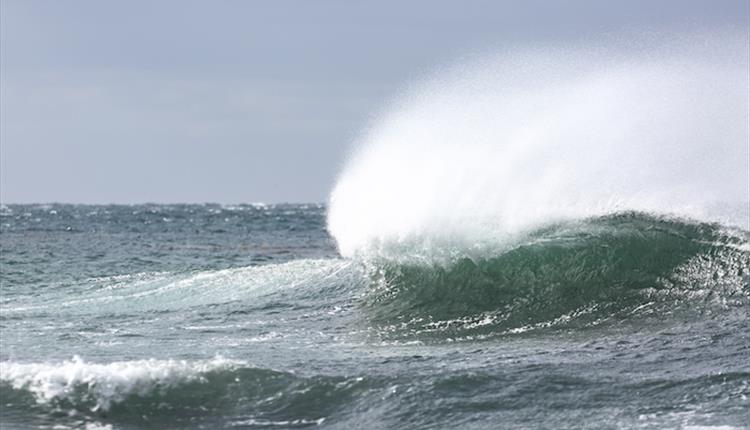 Waves for surfing in the Falkland Islands