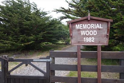 1982 Memorial Wood