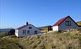 New Island_Falkland Islands