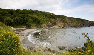 Polridmouth Cove