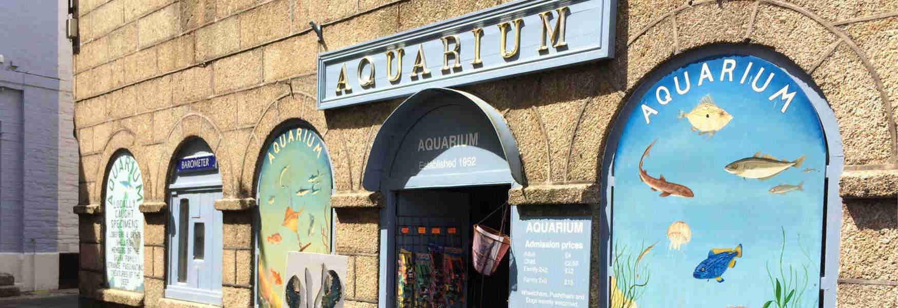 Meet some our local sea creatures