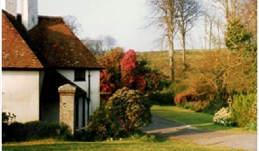 Plants in the Cornish Literary Landscape