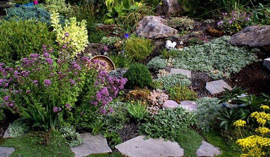 “The rock garden”