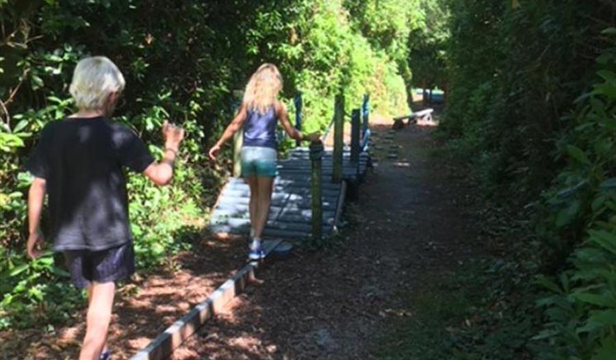 Wheal Martyn Summer Activities