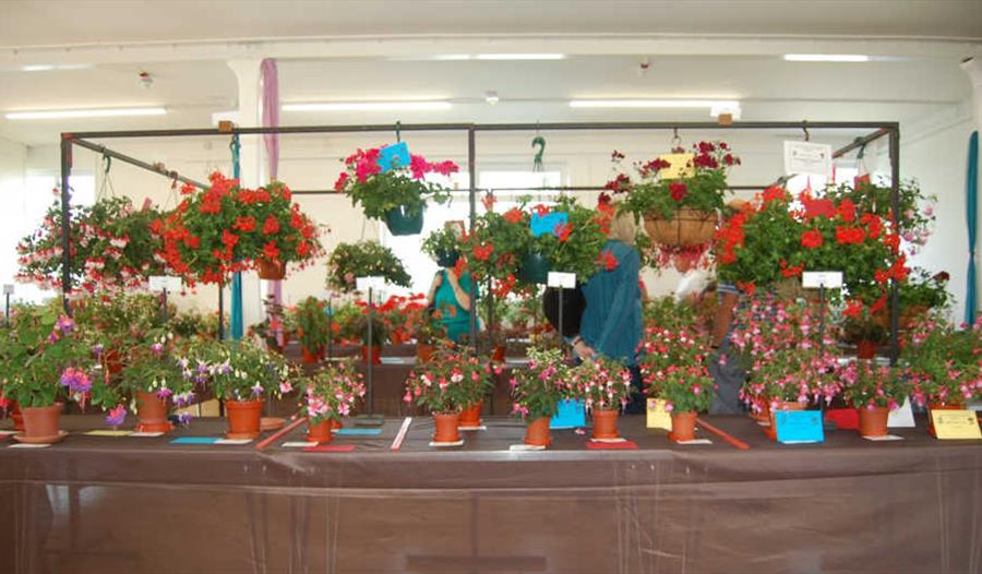 Fuchsia Society Annual Show