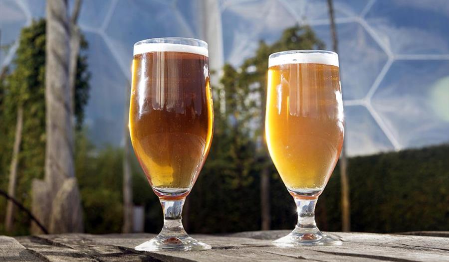 Beer Festival at the Eden Project