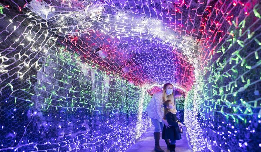 Christmas Tunnel of Lights