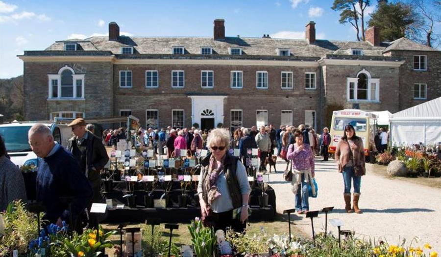 Cornwall Spring Flower Show