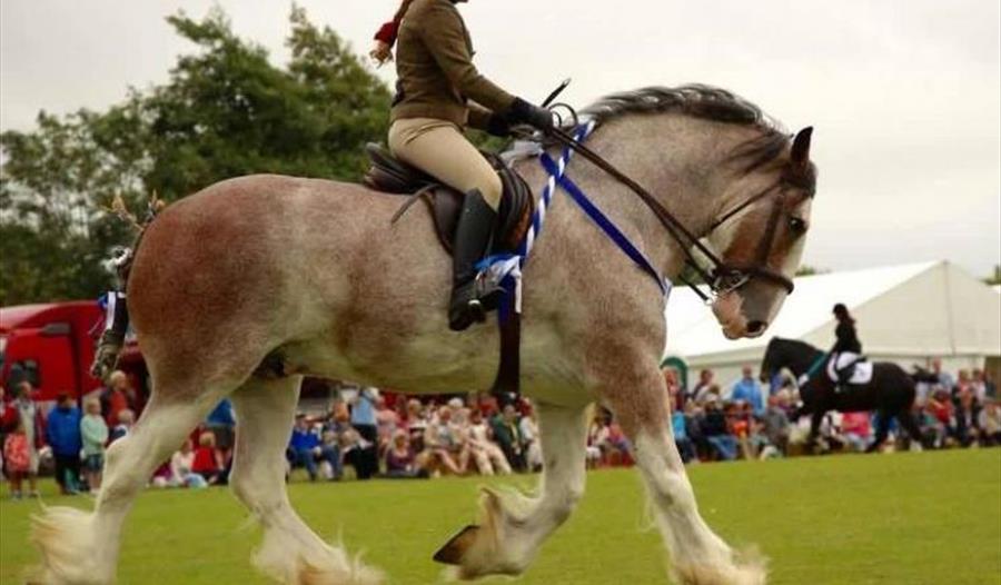 Tregony Heavy Horse Show & Country Fayre