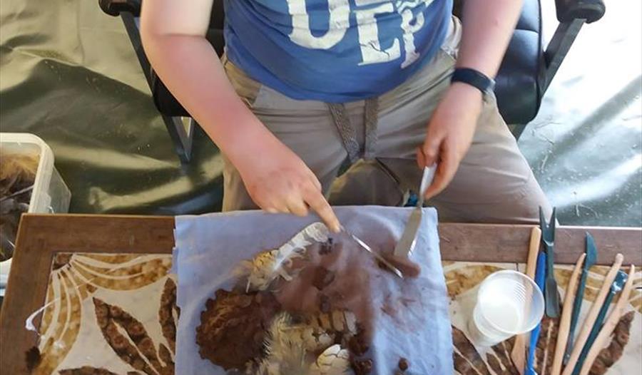 Family Crafts with Owls