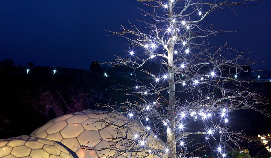 Festival of Christmas