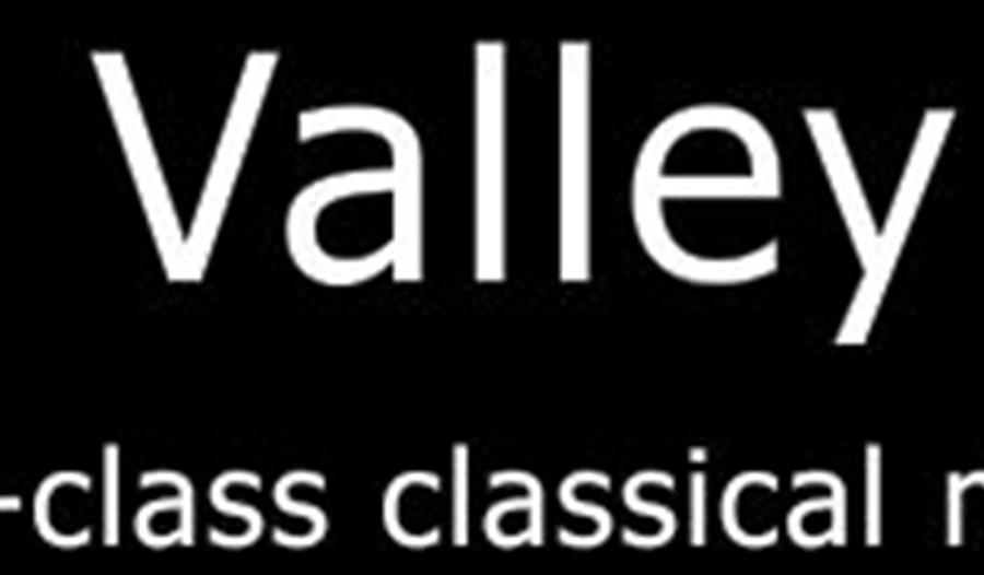 Fowey Valley Music Festival Taster