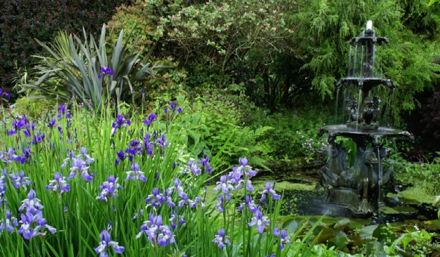 Pine Lodge Gardens & Nursery, St Austell, Cornwall