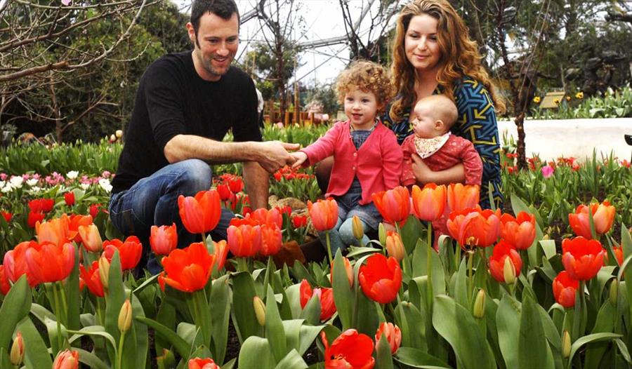 Mother's day at Eden