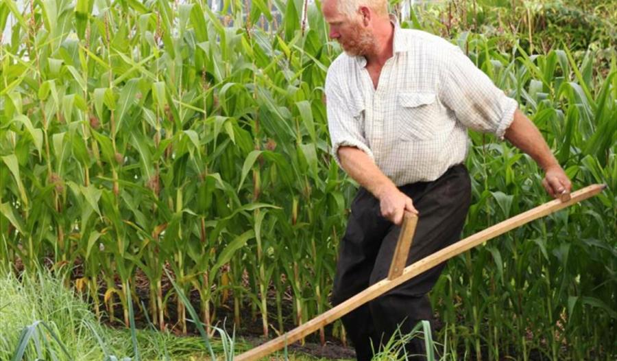 Scything Course at the Eden Project