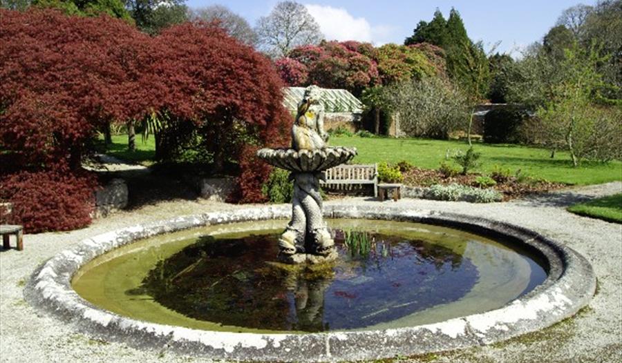 Tregrehan Garden, Par, Cornwall