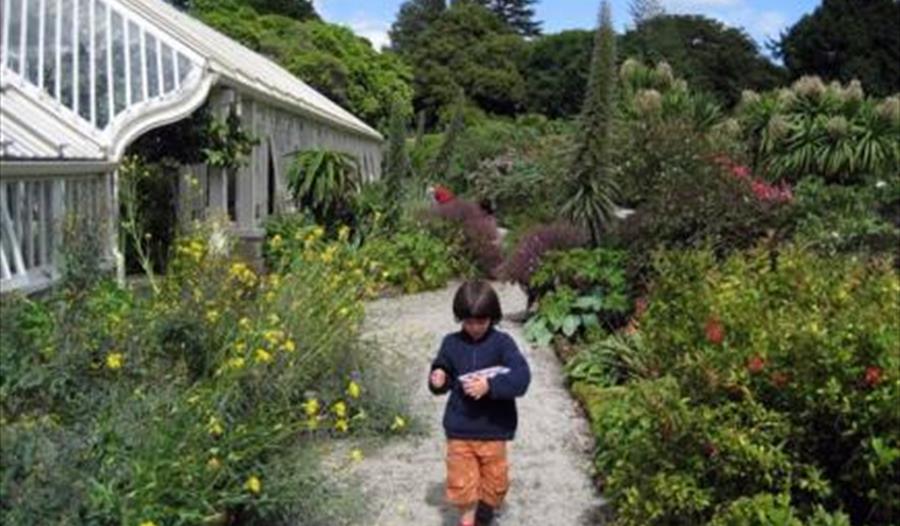 Tregrehan Garden Rare Plant Fair