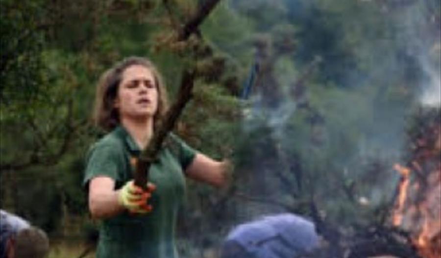 Ranger day- brash and burn