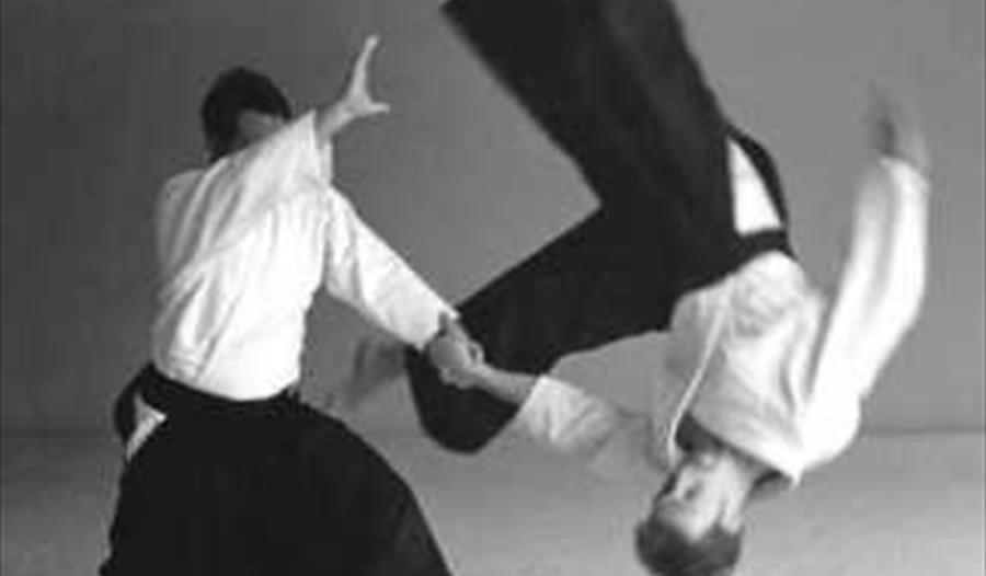 A Weekend of Aikido