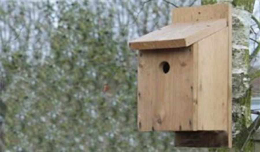 Make a Bird Box or Bug Hotel