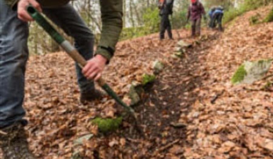 Ranger day- Trail repairs