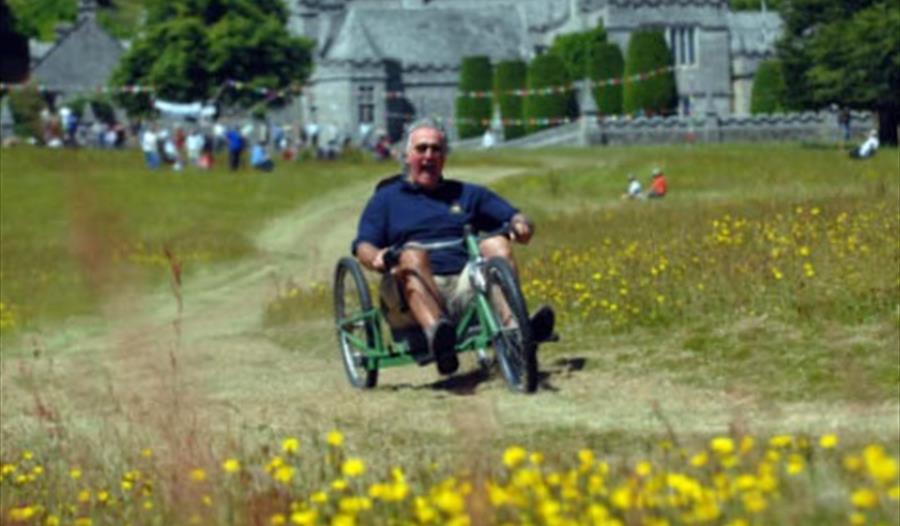 Dilly cart race