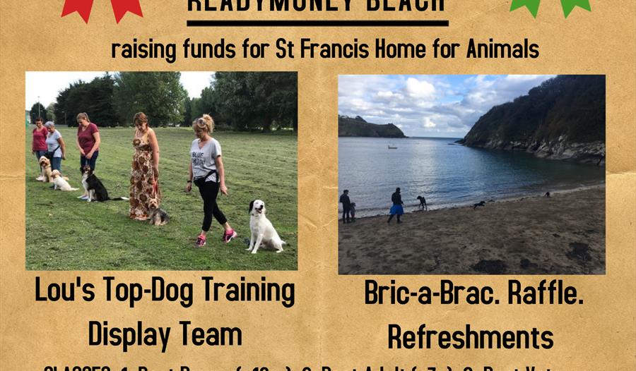 Charity Dog Fun Day
