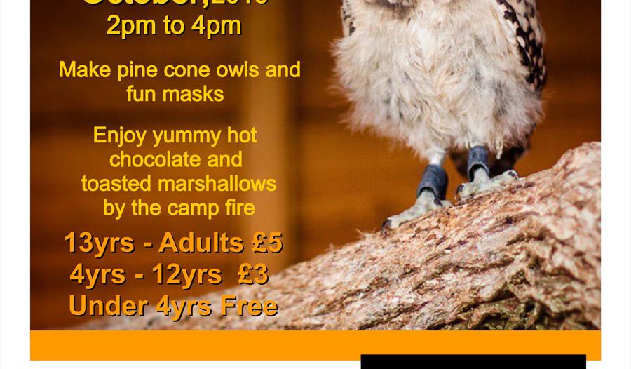 Family Craft Afternoons In the Company of Owls