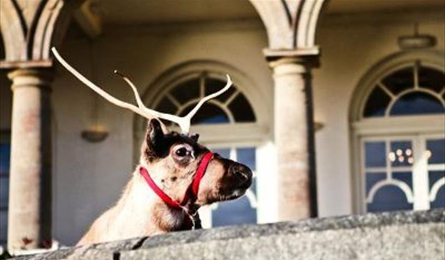 Fowey Hall Festive Evening
