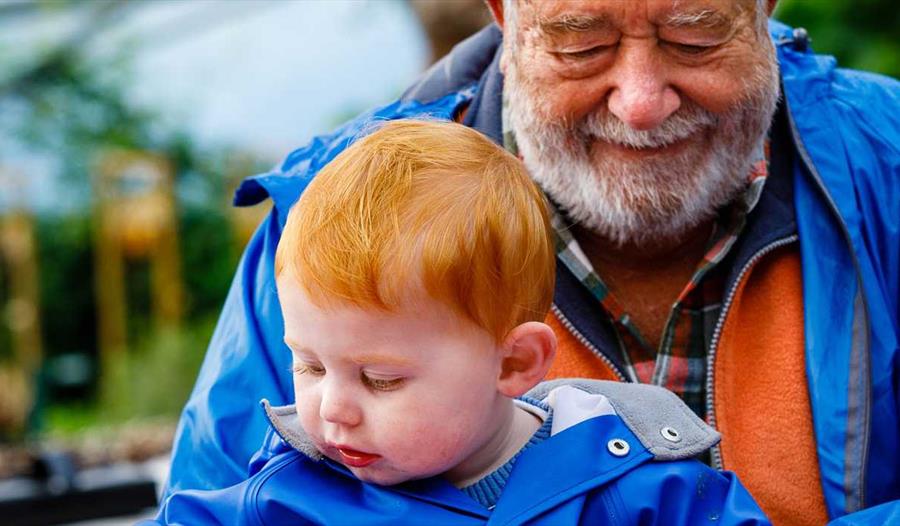 Eden project - Grandparent & toddler activities.