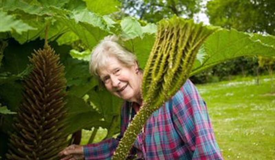 In Memory of Jean Hill of Headland Gardens