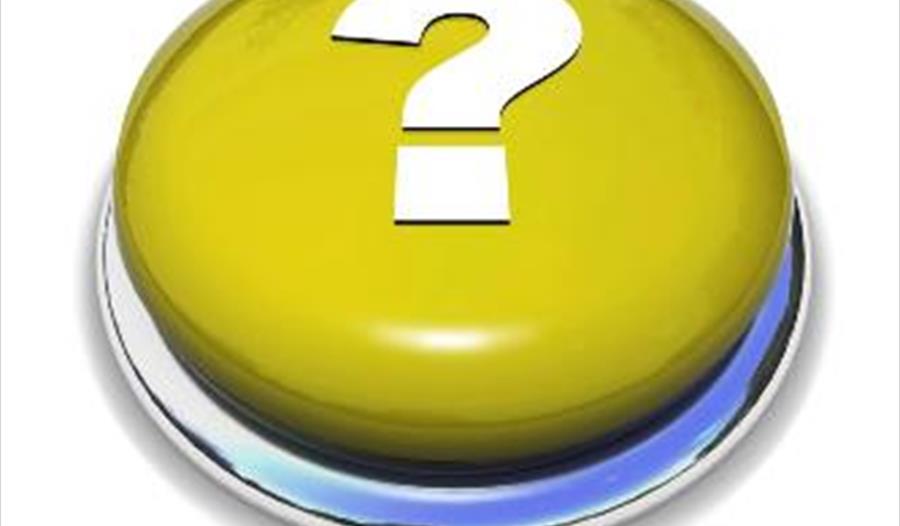 Festival Quiz!