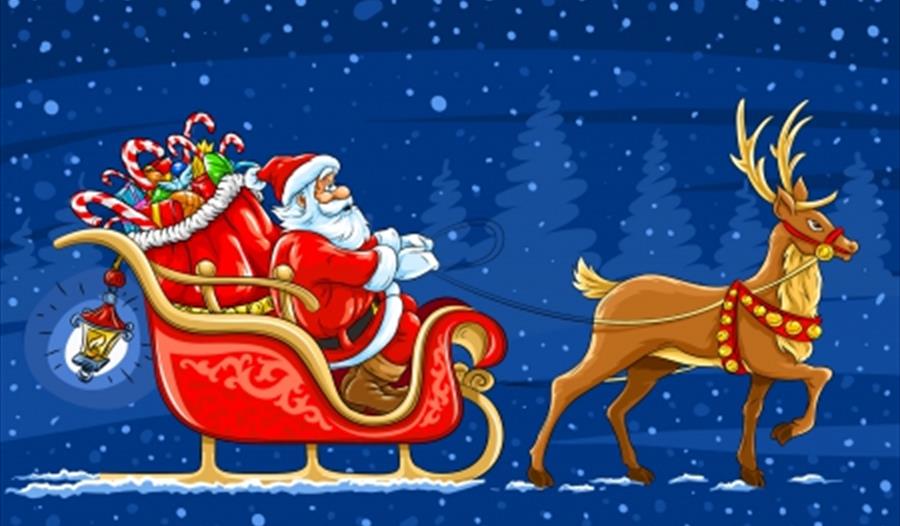 Fowey River Lions Annual Christmas Collection