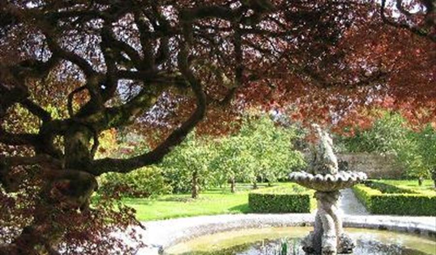 Tregrehan Garden Autumn Garden Opening