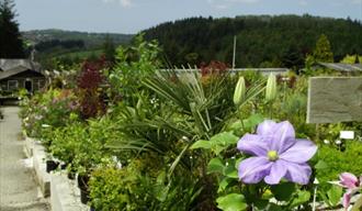 Duchy of Cornwall Nursery, Lostwithiel