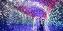 Tunnel of Lights Artic Adventure