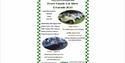 Fowey Classic Car Show