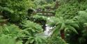 Lost Gardens of Heligan, Pentewan, St Austell