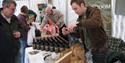 St Austell Local Produce Market