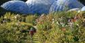 The Eden Project, Bodelva