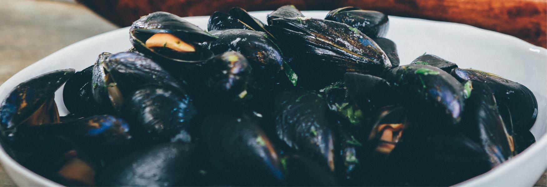 Mussels are grown just offshore