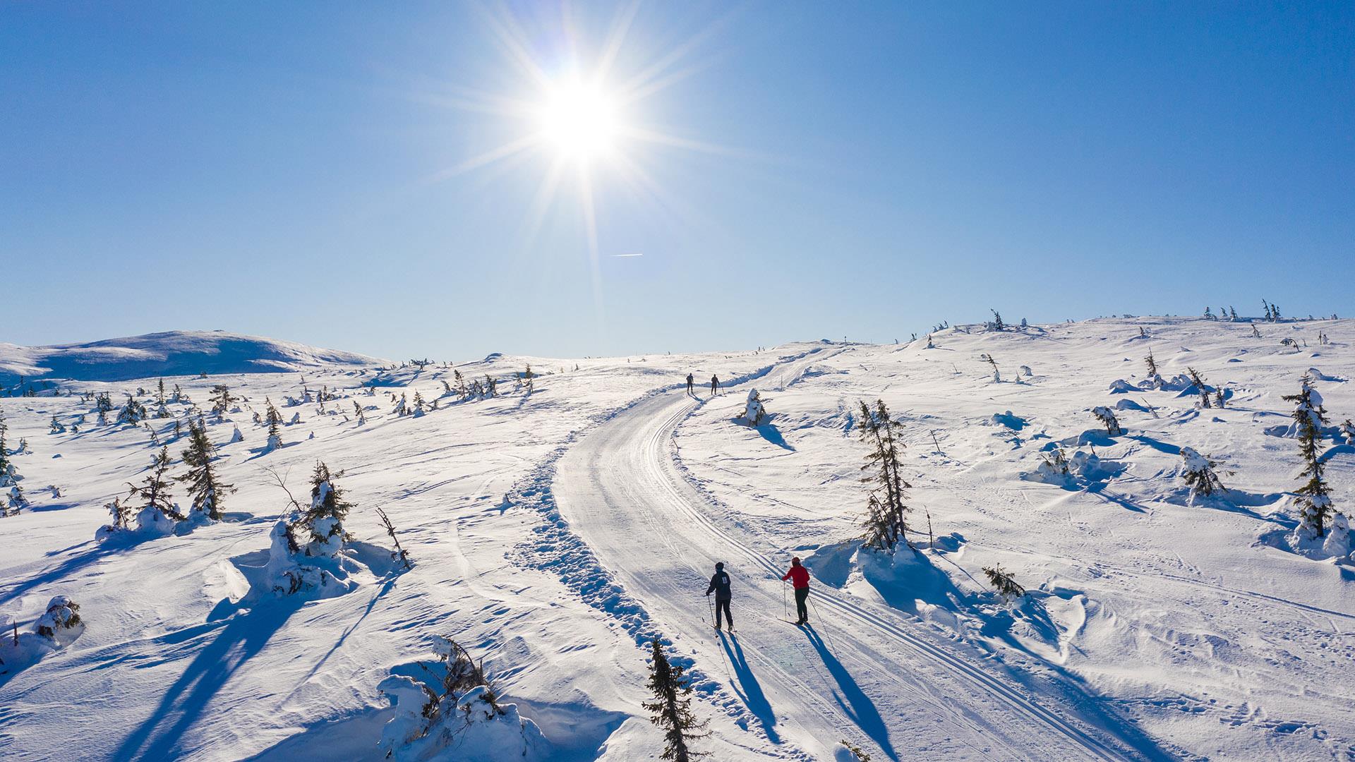 Cross country skiing in Vikerfjell 2021