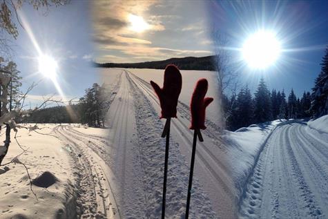 Cross country skiing tracks in Jevnaker