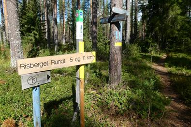 Hiking around Risberget (5 or 11 kilometres)