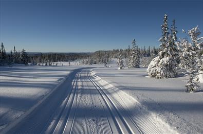 Cross-country skiing from Raufoss