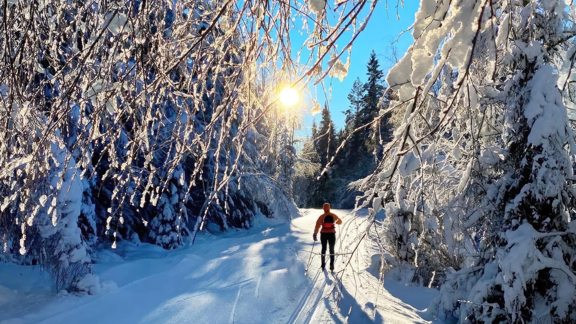 På skitur i Finnskogen - To Sprelske
