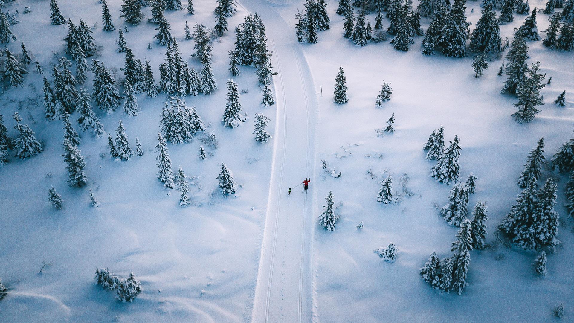 Cross country skiing at Hedmarksvidda