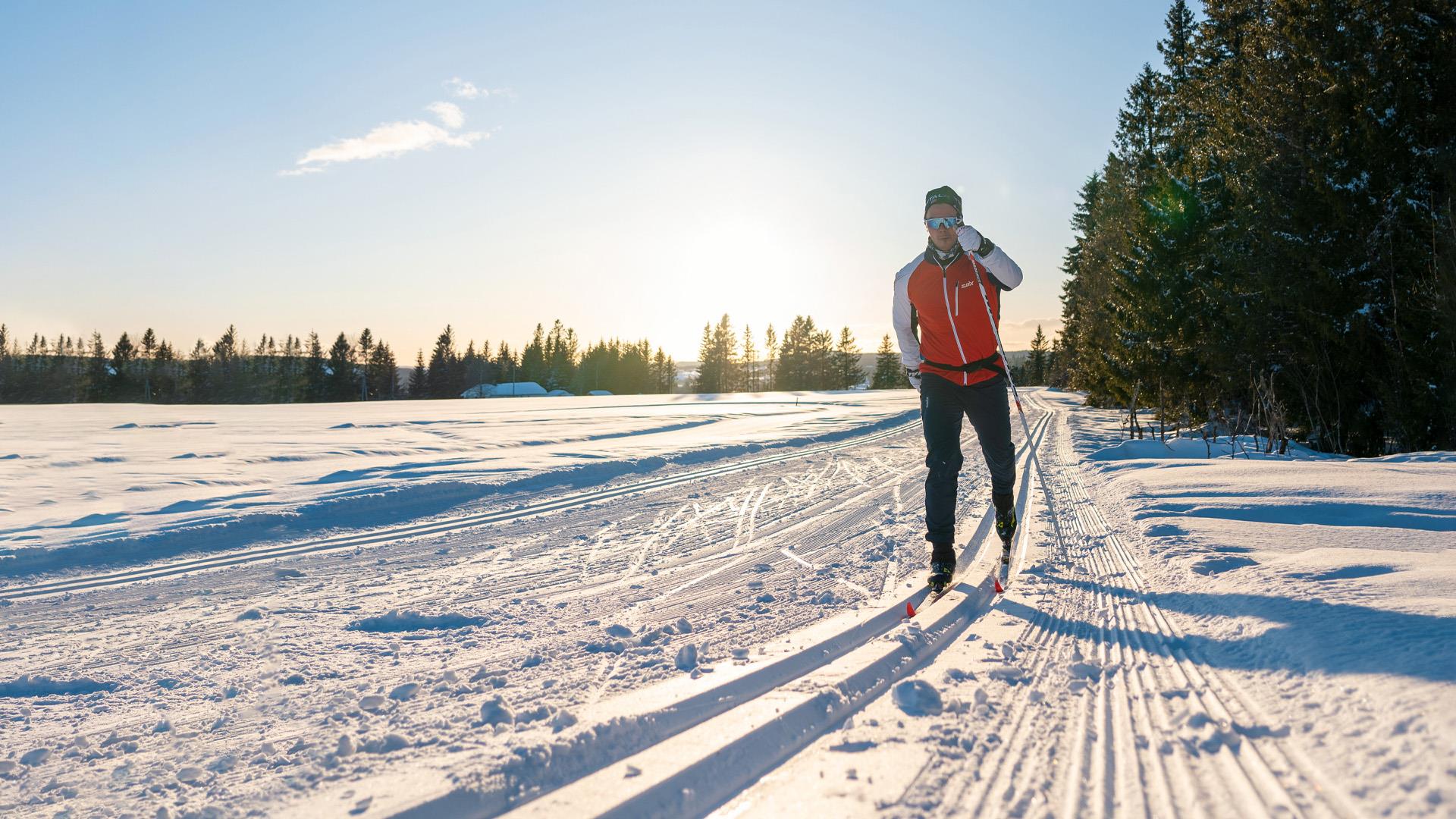 Cross country skiing in the winter sun